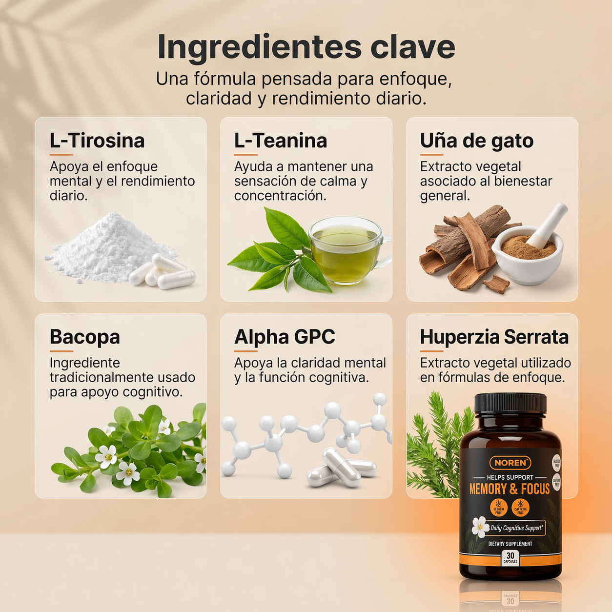 NeuroFocus™ | Enfoque y Claridad Mental Diaria